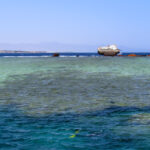 The second dive site, the wreckage of a sunk ship.