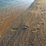 Footprints in the pink coral sand.